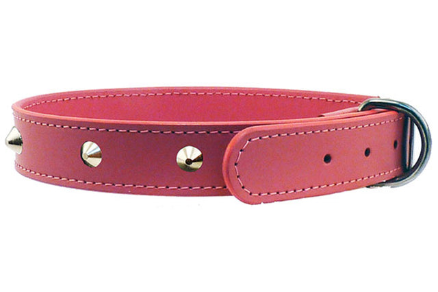 Pink studded leather dog collar (15mm x 40cm) with durable chrome hardware and bevelled edge for comfort and style.