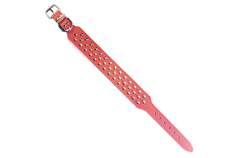 Pink 43mm leather collar for Staffy/Bull Terriers, featuring 31 studs, chrome hardware, and a comfortable felt lining.