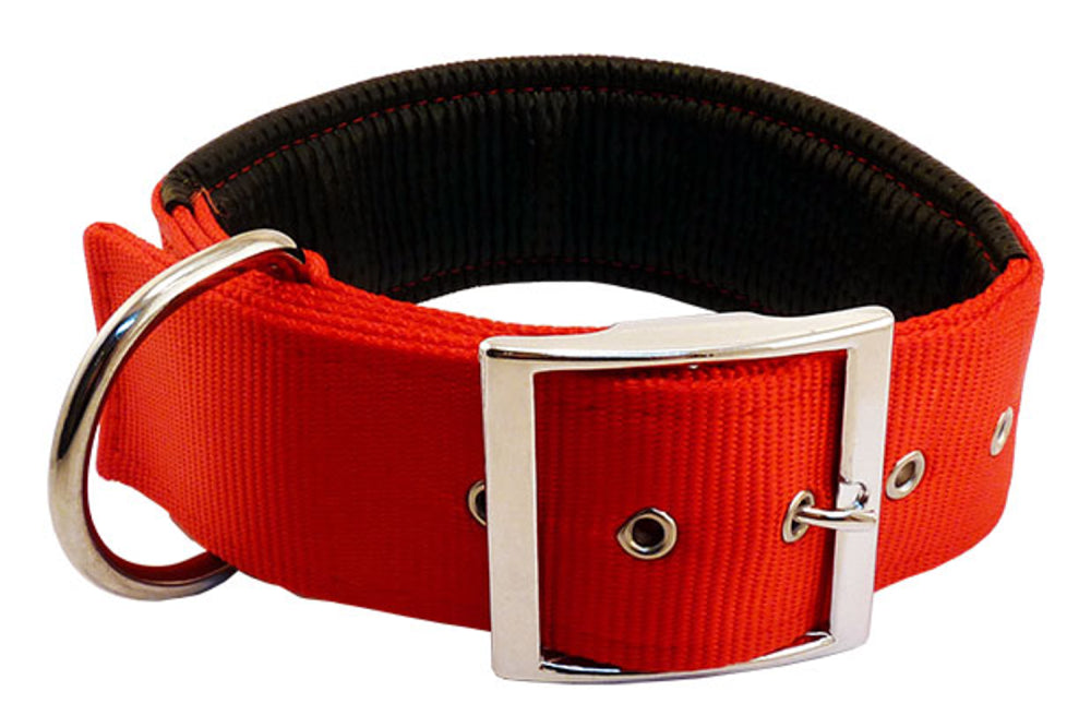 Red nylon dog collar with sponge backing, 50mm width, 60cm length, 5-hole adjustment, sturdy buckle, and D-ring for attachments.