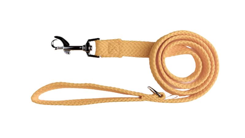 Durable gold double nylon webbing dog lead, 20mm wide and 245cm long, with a secure snap hook and D-ring for waste bags.
