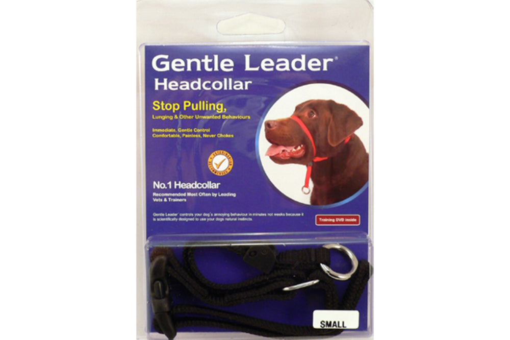 Gentle Leader Dog Head Collar for small breeds, enabling immediate, gentle control without discomfort during walks.