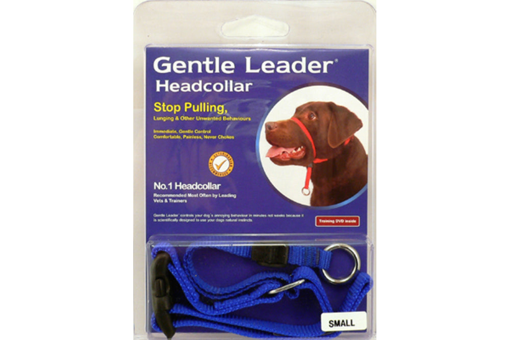 Gentle Leader Dog Head Collar in blue for small dogs (5-10kg), designed for gentle control and comfort during walks.