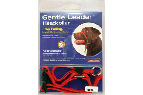 Gentle Leader red head collar for small dogs, prevents pulling and lunging, ensures comfortable walks without choking.