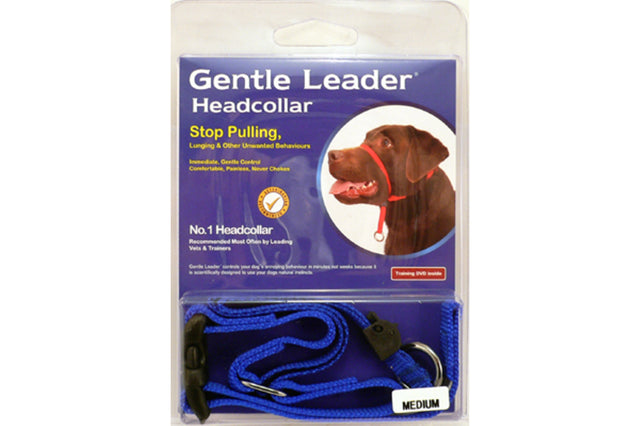 Gentle Leader head collar in blue for medium dogs, offering gentle control and comfort to reduce pulling and lunging.