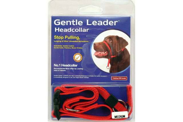 Gentle Leader Dog Head Collar in red for medium dogs, providing gentle control to stop pulling and enhance walking comfort.