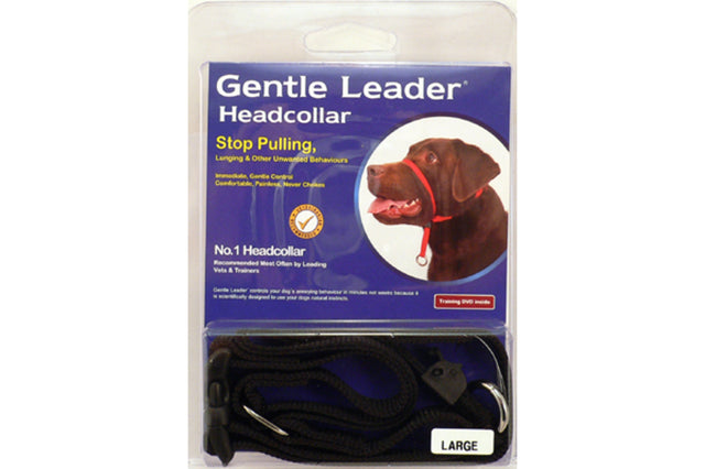 Large black dog head collar designed for gentle control, preventing pulling and lunging in large breeds from 30-55kg.