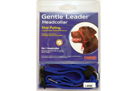 Gentle Leader Head Collar in blue for large dogs, reducing pulling and lunging while ensuring comfort and control.