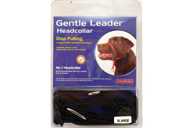 XL Dog Head Collar in black for large breeds, designed for gentle control during walks and includes training DVD for quick behavior correction.