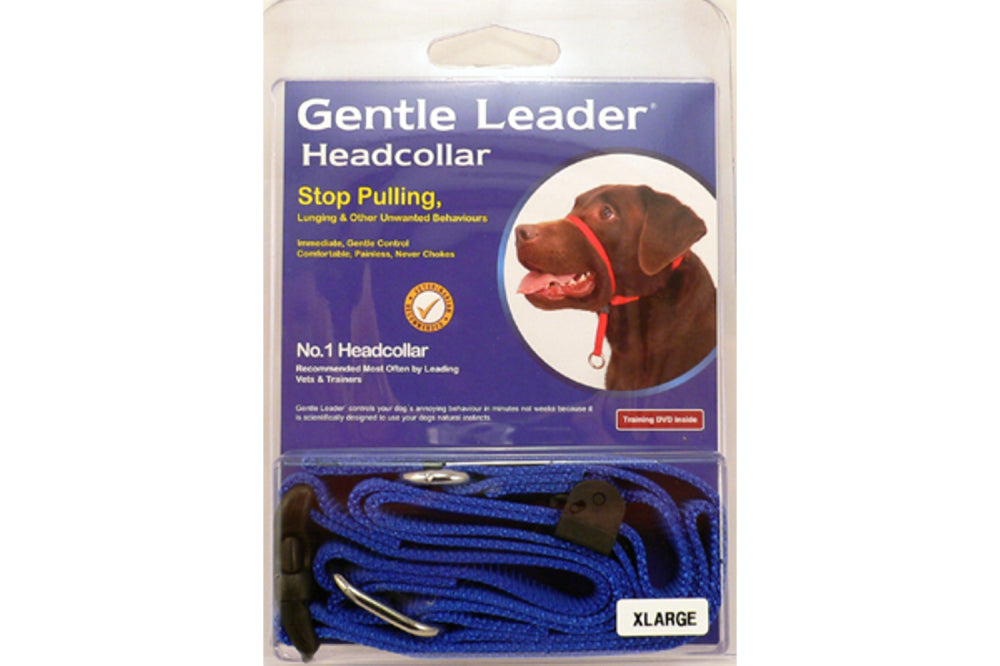 Gentle Leader Head Collar in blue for XL dogs, designed to prevent pulling while ensuring comfort and control during walks.