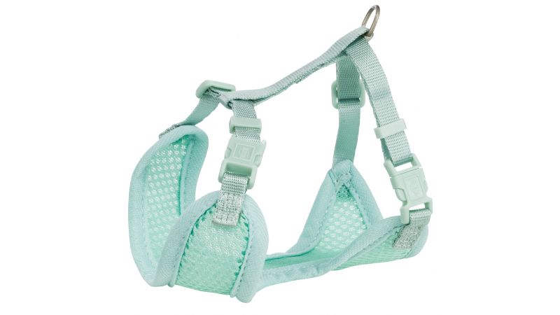 Dog Harness - Junior Puppy Soft with Leash (Mint)