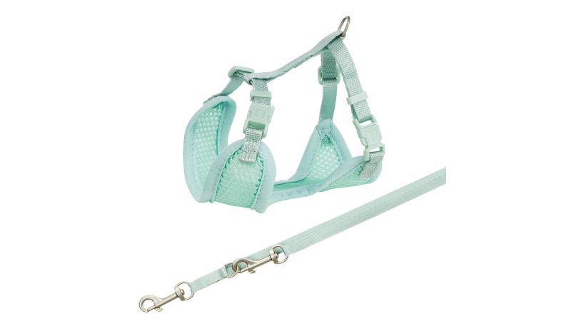 Dog Harness - Junior Puppy Soft with Leash (Mint)