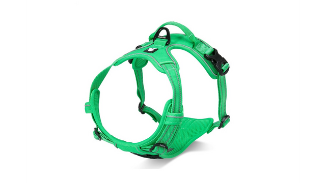 Deluxe green mesh dog harness for small dogs, featuring breathable fabric, reflective material, and adjustable fit for comfort.