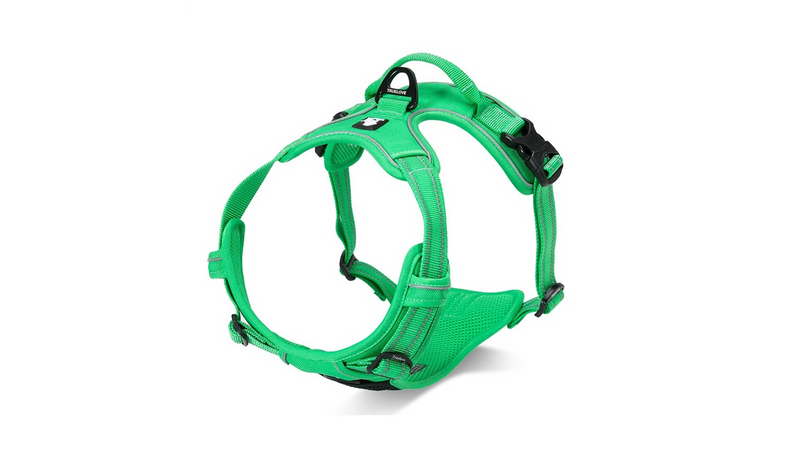 Dog Harness - Deluxe Mesh Green (Small)