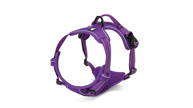 Small purple dog harness made of breathable mesh, featuring double stitching, padded stomach area, and dual attachment points for control.