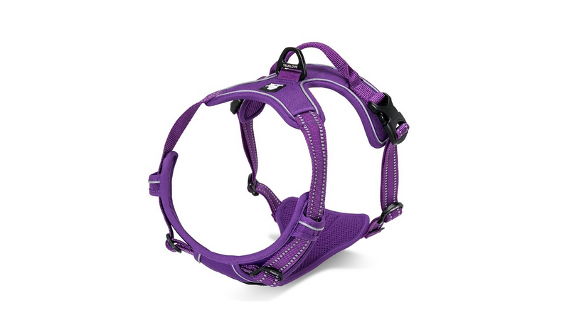Dog Harness - Deluxe Mesh Purple (Small)