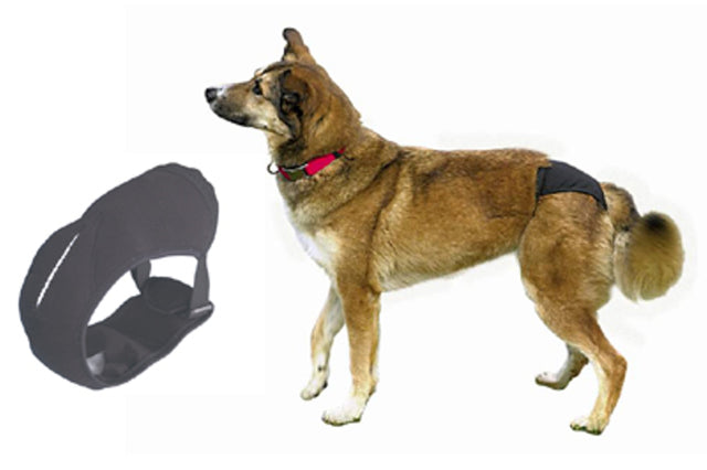 Black protective dog pants for bitches in season, with adjustable belt and three spare pads, for comfort and hygiene.