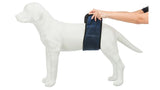 Belly band for male dogs, size Med (45-55cm), made of breathable mesh with 3 absorbent pads for incontinence solution.