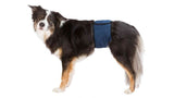 Belly band for male dogs (45-55cm) in breathable mesh, includes 3 absorbent pads for comfort and incontinence management.