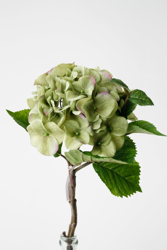 Lifelike green artificial Late Summer Hydrangea with 40cm stem and 17cm bloom, perfect for elegant decor and centerpieces.
