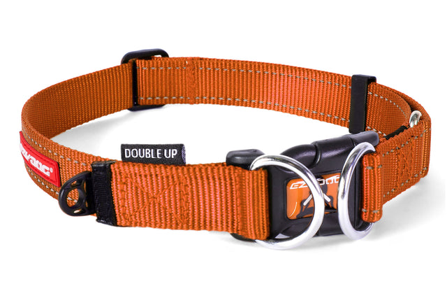 Bright orange EzyDog Small collar with double D-Rings for safety, soft webbing for comfort, and reflective stitching for visibility.