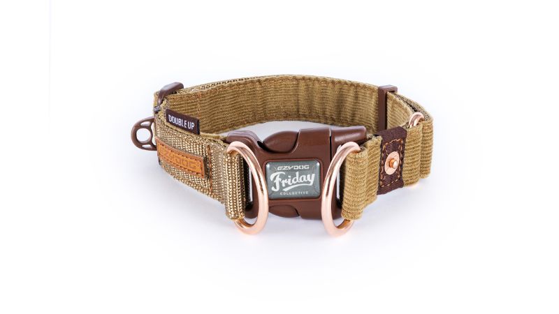 Stylish ED Double Up S Corduroy Dog Collar with double D-rings, soft corduroy, and chic brass hardware for added comfort.