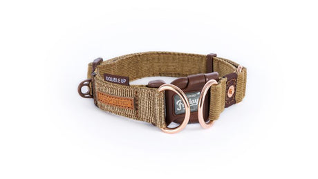 Stylish corduroy dog collar with double D-rings, brass-finish hardware, and leather accents for comfort and security.