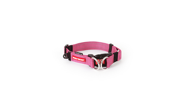 Pink EzyDog Double Up Small Dog Collar with dual D-Rings, reflective stitching, and soft webbing for comfort and safety.