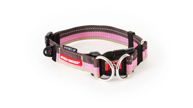 EzyDog Collar Double Up XL Candy features dual stainless steel D-rings for strength, soft-touch webbing, and reflective safety design.