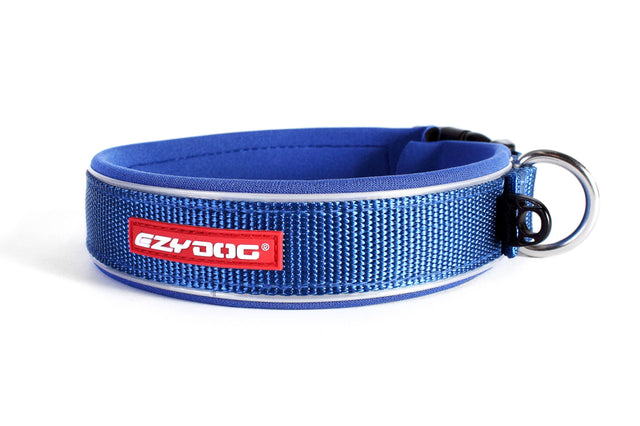 Small blue EzyDog Neo dog collar made of waterproof neoprene with reflective piping and stainless steel D-Ring for safety.