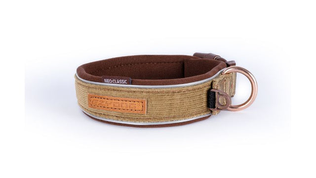 Stylish ED Neo Classic M Corduroy Dog Collar featuring soft corduroy webbing, double D-rings, and elegant leather patches.