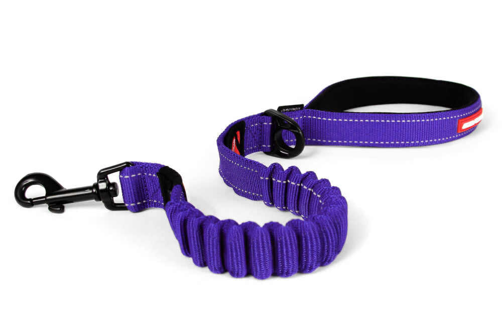 EzyDog Zero Shock 60cm leash in purple offers comfort, control, and a shock-absorbing design for safer dog walks.