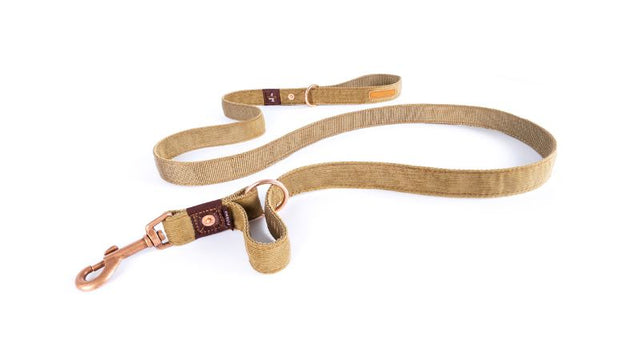 Stylish ED Vario 4 dog leash in corduroy with versatile functions, stainless steel hardware, and soft comfort for dog walking.