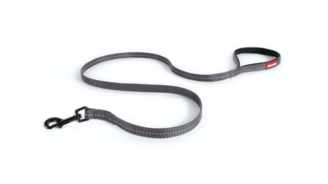 Lite Grey 120cm dog leash for small dogs, featuring soft nylon webbing, reflective stitching, and a comfortable neoprene handle.