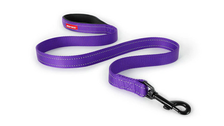 Purple 120cm dog leash featuring a soft-touch nylon webbing, neoprene handle, reflective stitching, and secure carbon snap clip.