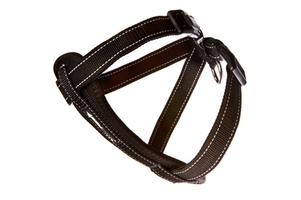 EzyDog XS Black harness with ergonomic EVA foam, reflective stitching, and included car seat restraint for safe walks.