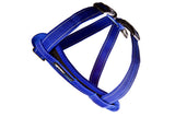 EzyDog Chest Plate Harness in blue for small dogs, featuring an ergonomic design, reflective stitching, and a free car restraint.