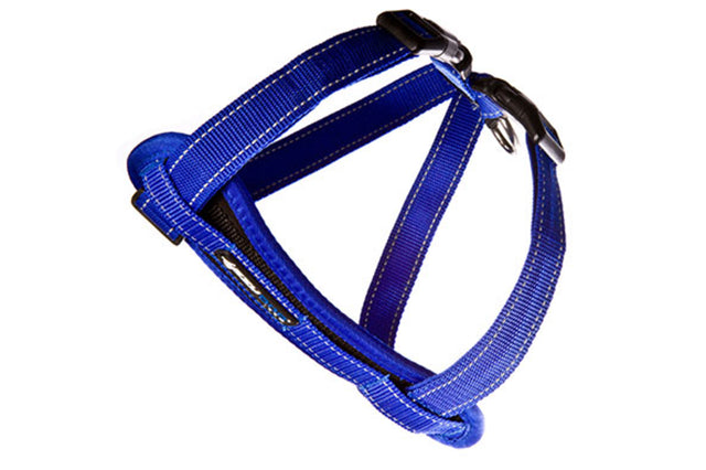 EzyDog XS Chest Plate Harness in blue, featuring ergonomic EVA foam, reflective stitching, and a free car seat restraint.