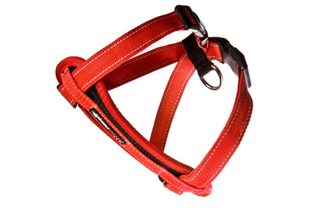 EzyDog Chest Plate Harness in Red for small dogs, featuring EVA foam, reflective stitching, and a free car seat restraint.