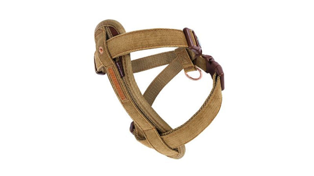 Stylish corduroy dog harness designed for comfort, featuring adjustable straps and custom fit for small breeds.