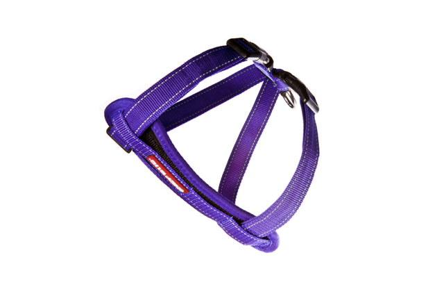 EzyDog XS purple harness with EVA foam plate for comfort, reflective stitching, and free car restraint for small dogs.