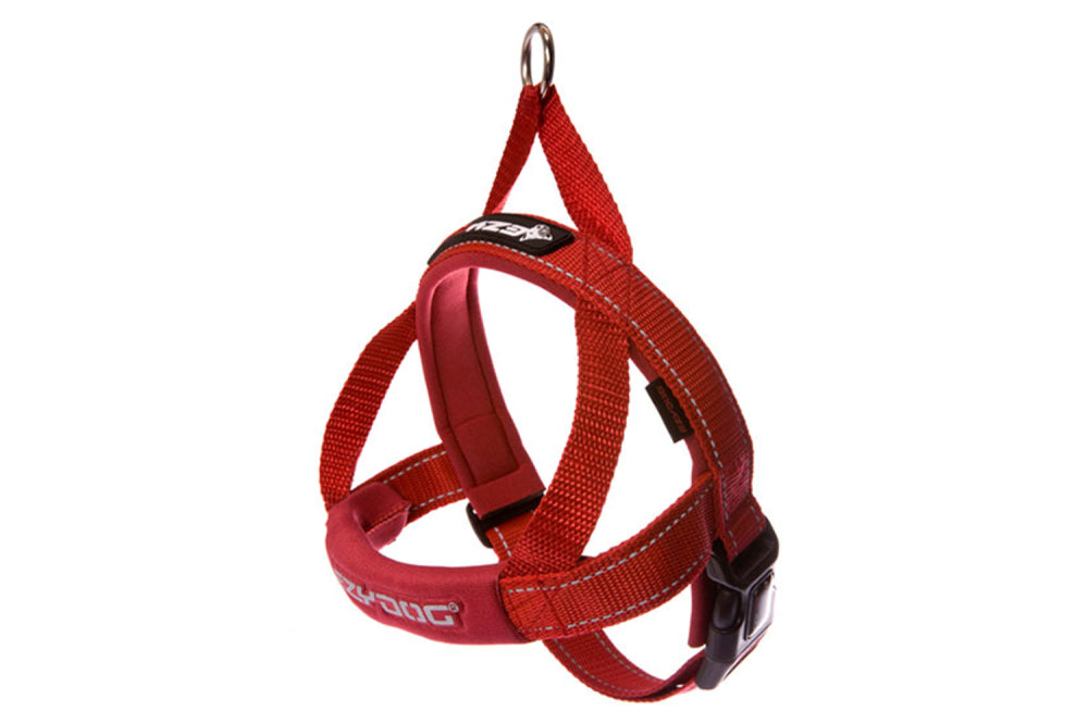 EzyDog Quick Fit Harness in red for small dogs (XS), featuring a one-click buckle, neoprene comfort, and reflective stitching.