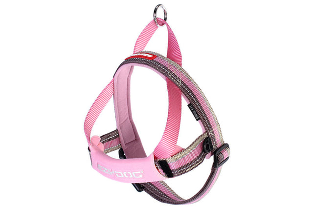 Lightweight grey dog harness with soft neoprene strap, reflective stitching, and quick-fit buckle for easy use and comfort.