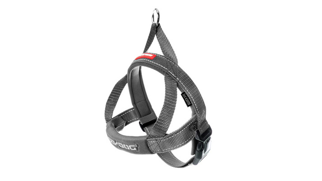 Stylish Small Grey EzyDog Quick Fit Harness offers comfort, safety, and easy one-click fit for dogs weighing 5-10kg.