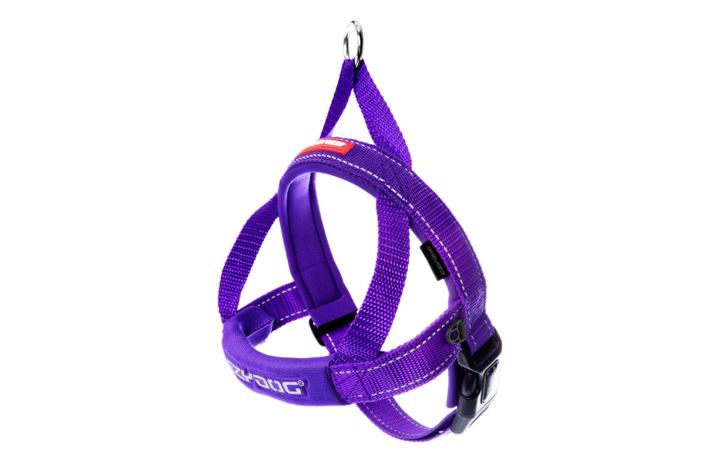 Small purple EzyDog Quick Fit Harness for dogs 6-10kg, featuring one-click buckle, neoprene for comfort, and reflective stitching.