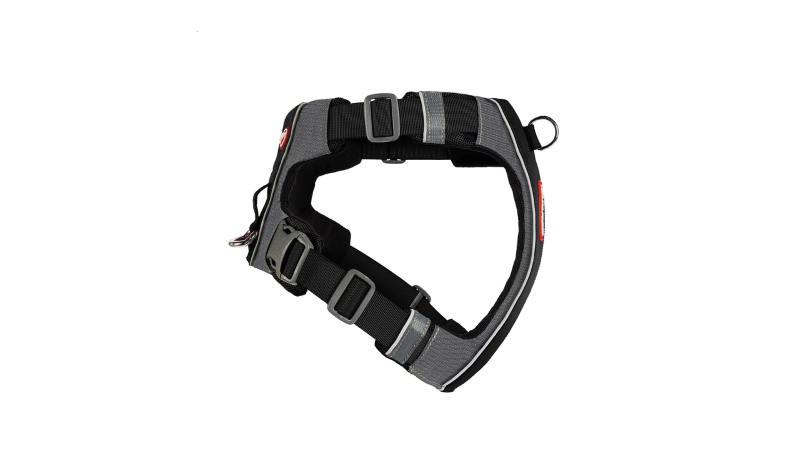 Sleek black ED X-Link small dog harness with front and rear clips, ergonomic design, reflective features, and adjustable fit.