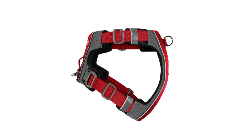 Red ED X-Link Small Dog Harness featuring dual leash points, ergonomic design, and reflective piping for safety during walks.