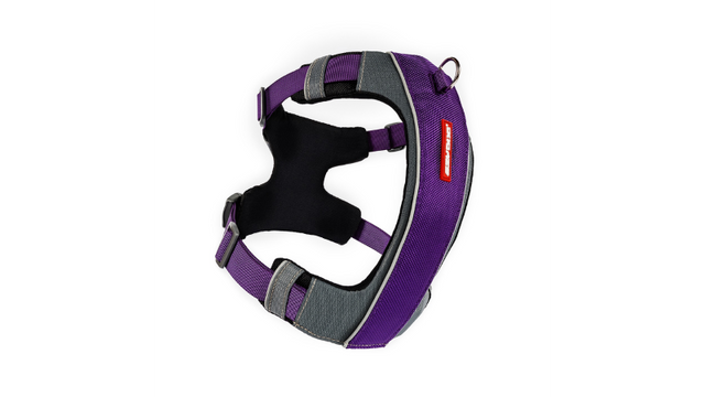 Purple ED X-Link Small Dog Harness with front and rear clips, ergonomic design, reflective piping, and adjustable fit for comfort.