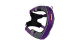 Purple ED X-Link Medium Dog Harness with front and rear leash clips, reflective piping, and ergonomic design for comfortable walks.