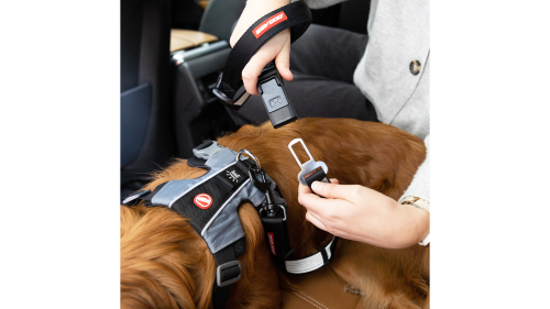 Innovative 52cm dog leash that easily converts seat belts into safe leashes, featuring a padded handle and accessory holder.