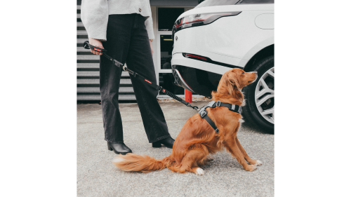 Innovative 52cm dog leash that converts seat belts into leashes with a click; features neoprene handle and accessory holder.